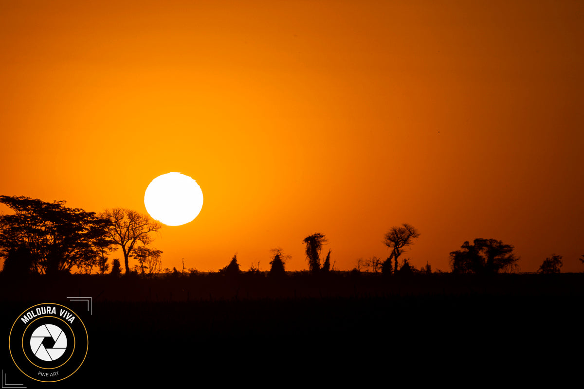 Por do Sol no Cerrado - GO
