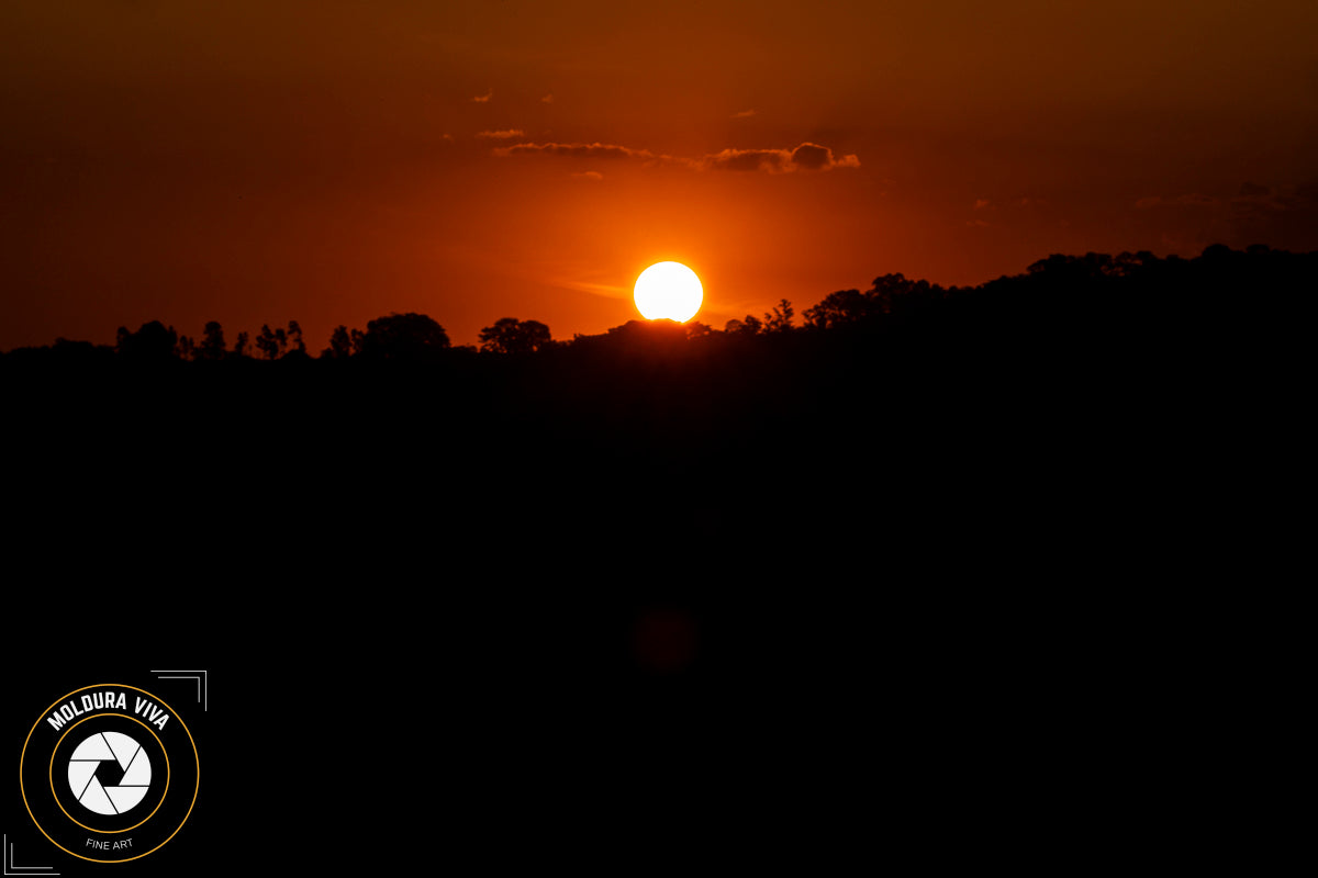 Por do Sol Pantanal - MS