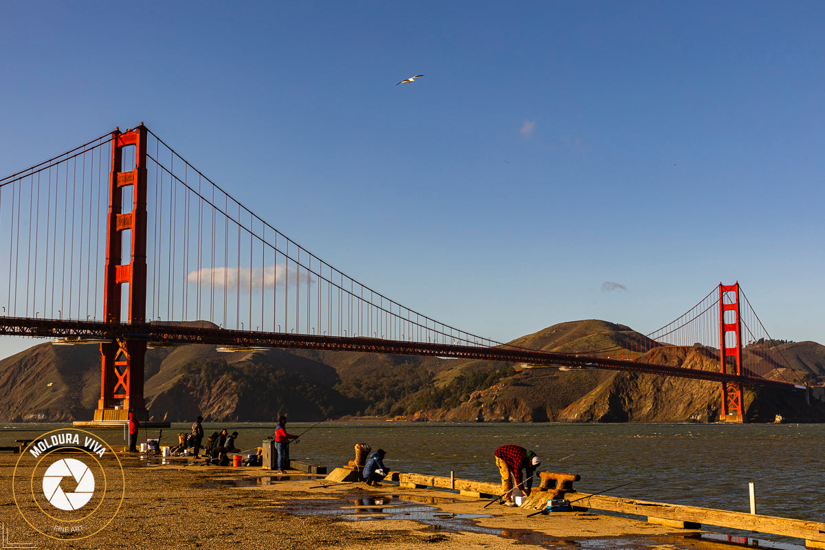 Versão 13 da Extensão da Golden Gate - CA