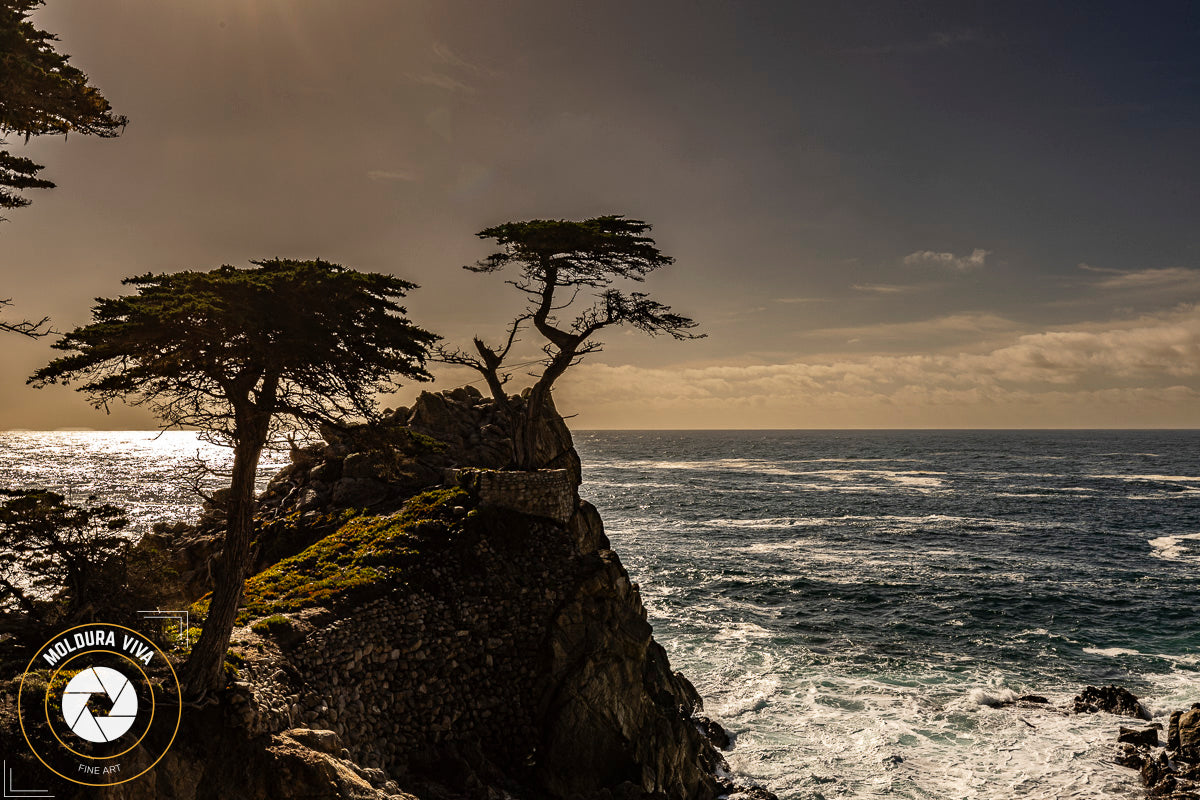 Versão 4 de Símbolo Icônico de Monterey - Carmel - CA