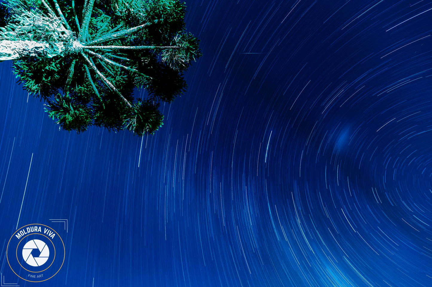 Rastro das Estrelas - Urubici - SC