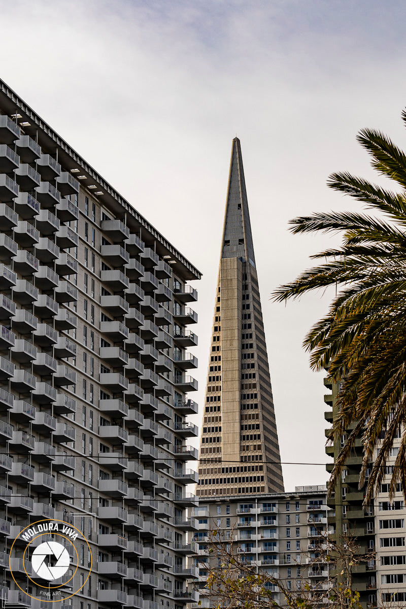 Transamerica Pyramid - San Francisco - CA