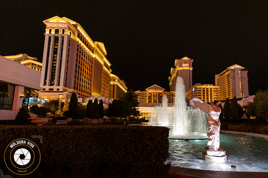 Caesars Palace - Las Vegas - NV