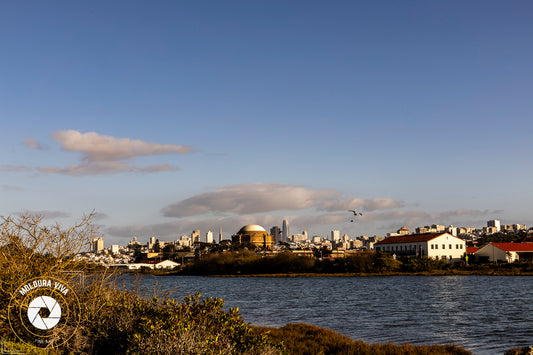 Bay San Francisco - CA