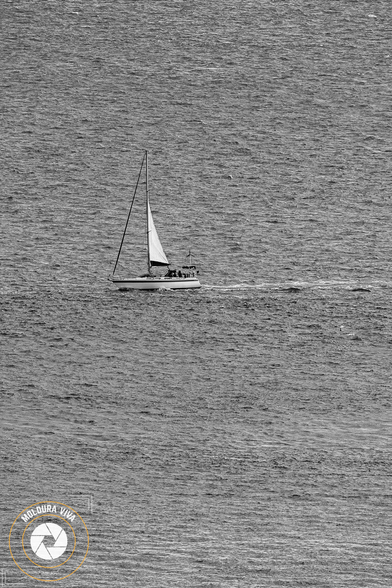 Barco na Bay de San Francisco - CA