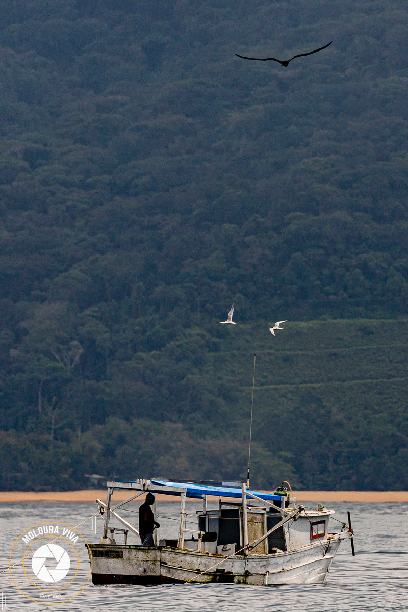 Pescador em Ubatuba - SP