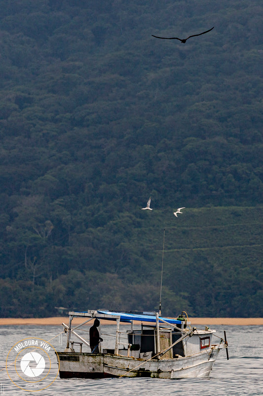 Pescador em Ubatuba - SP