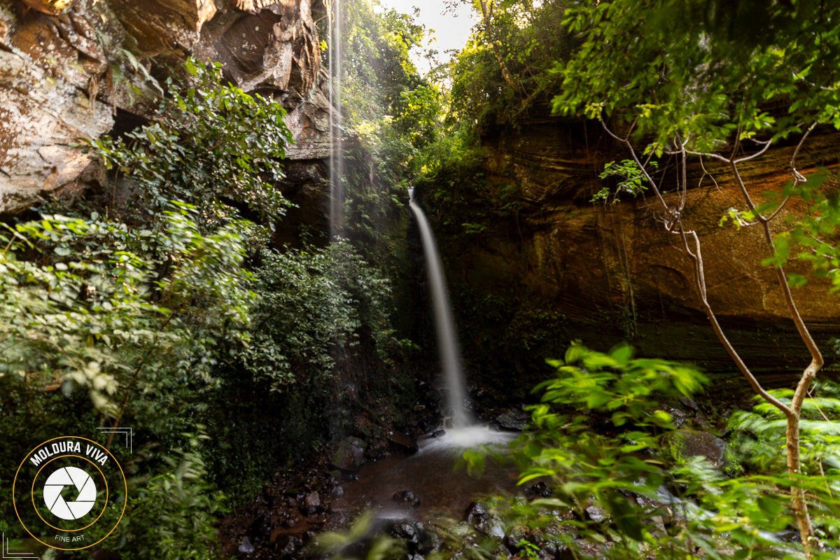 Cachoeira das Andorinhas - Brotas - SP