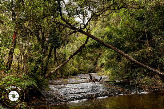 Corredeira em Urubici - SC