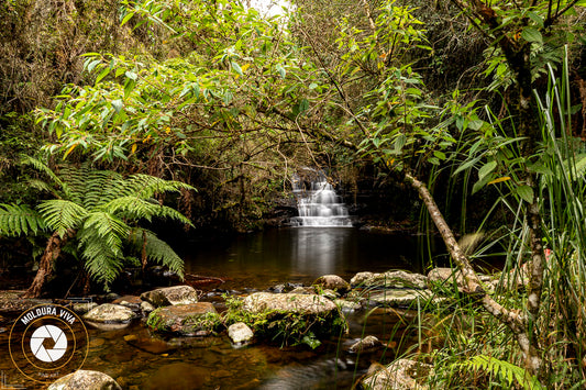 Cachoeira 6 de 7 quedas em Urubici - SC