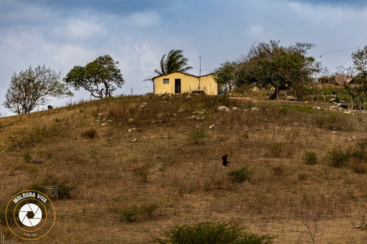 Construções Antigas - Casa de Roça na Paraíba - PB