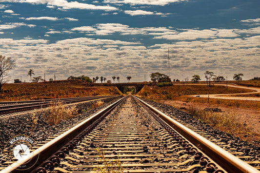 Ferrovia Norte-Sul - GO