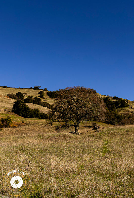 A Caminho do Mount Diablo 2 - EUA