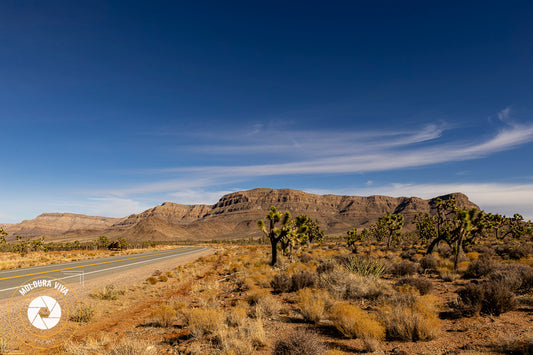 No deserto do Nevada.