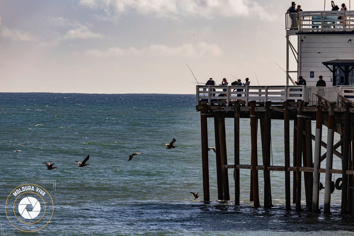 Pesca no Pier Santa Mônica - Malibu - CA