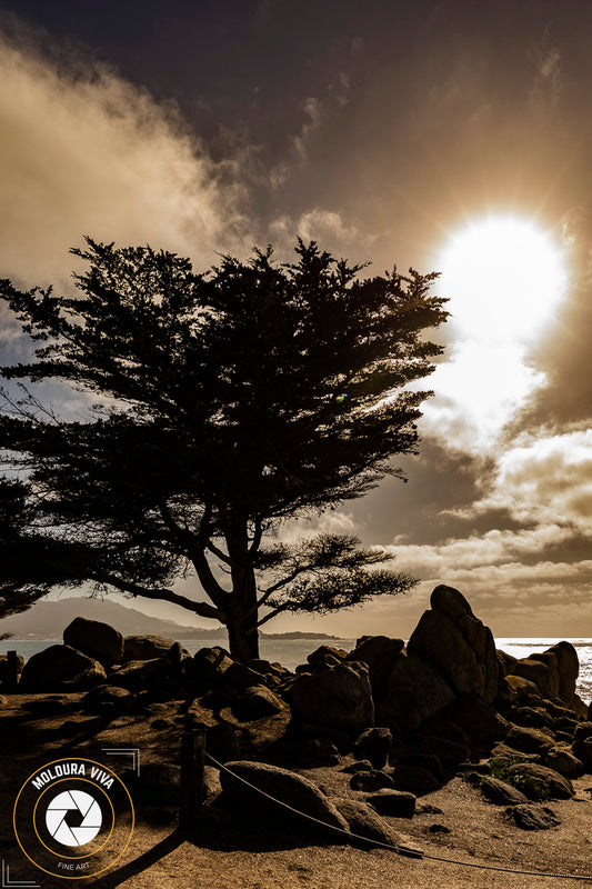 Por do Sol em Monterey - Carmel - CA