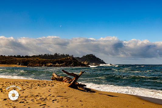 Praia deserta na Pacific Coast Highway