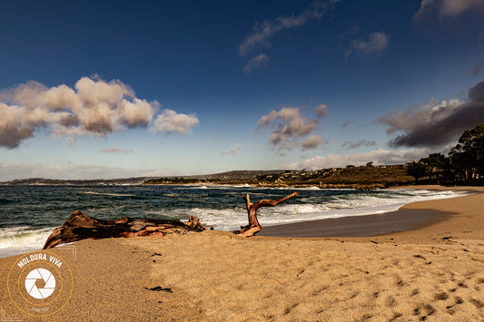 Versão 7 de Praia Isolada do Pacífico - CA