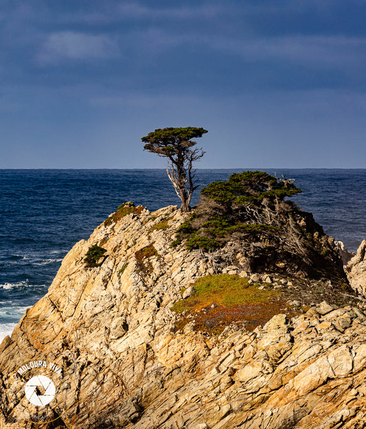 Símbolo icônico de Monterey - Carmel - CA