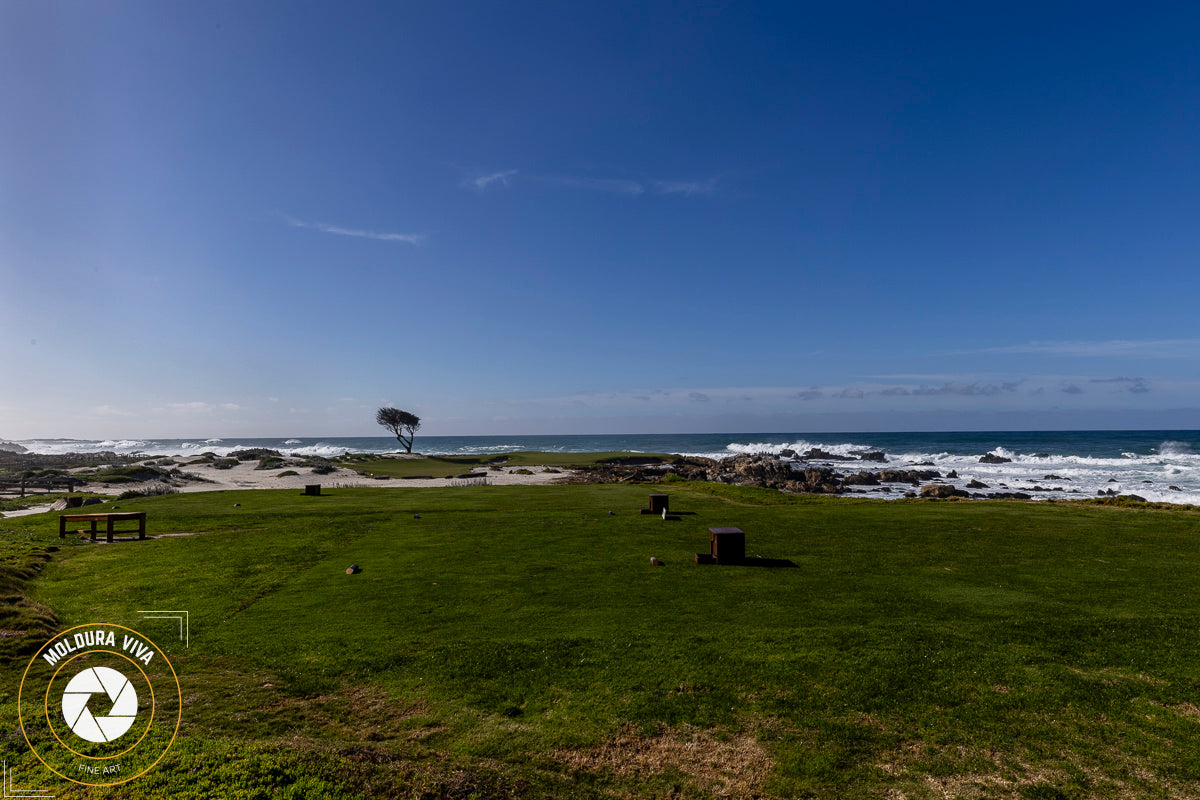 Praia de Parque em Carmel - CA