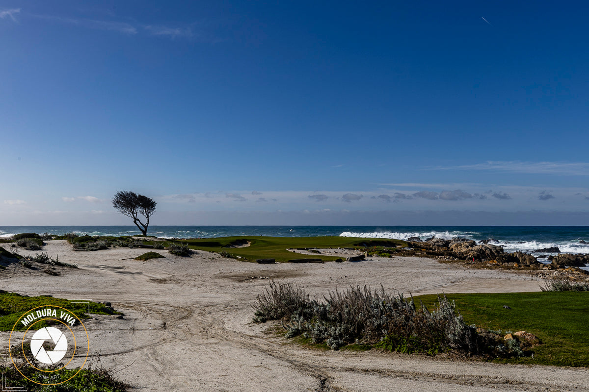 Versão 2 de Praia de Parque em Carmel - CA