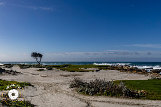 Versão 2 de Praia de Parque em Carmel - CA