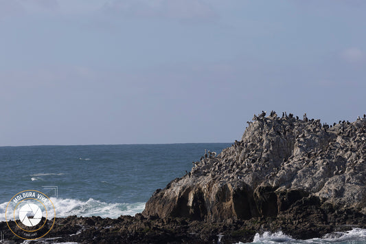 O descanso sobre Pedras na Highway 1 - CA