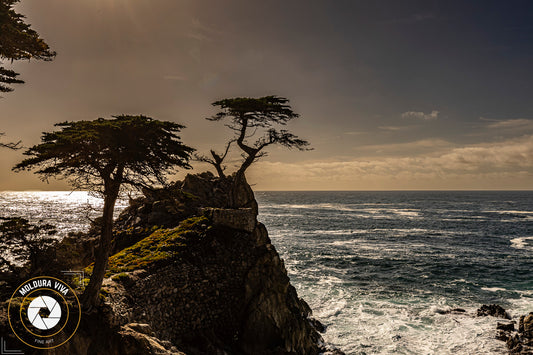 Versão 4 de Símbolo Icônico de Monterey - Carmel - CA