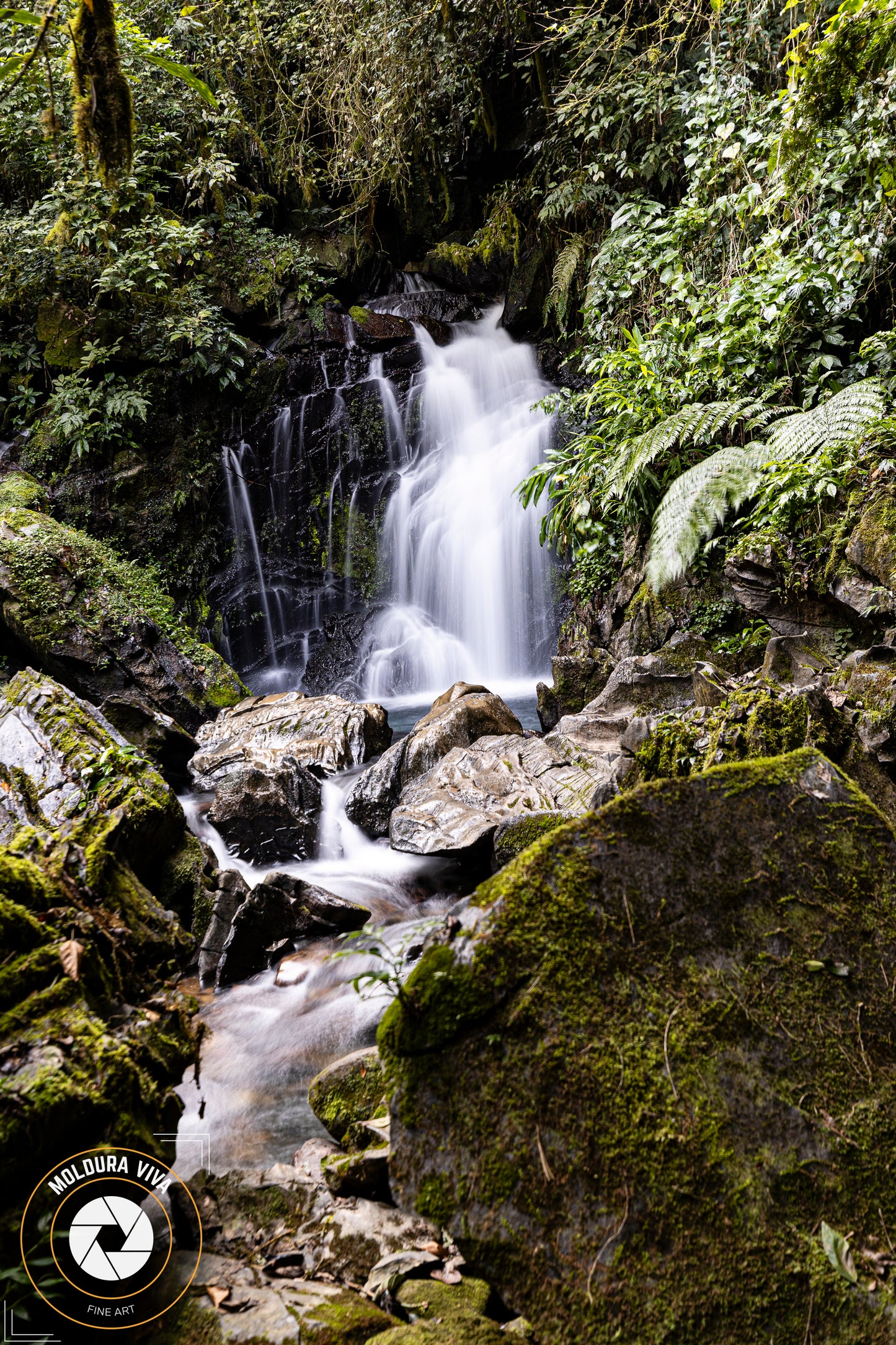 Versão 1 de Cachoeira do Sem Fim – Petar – SP