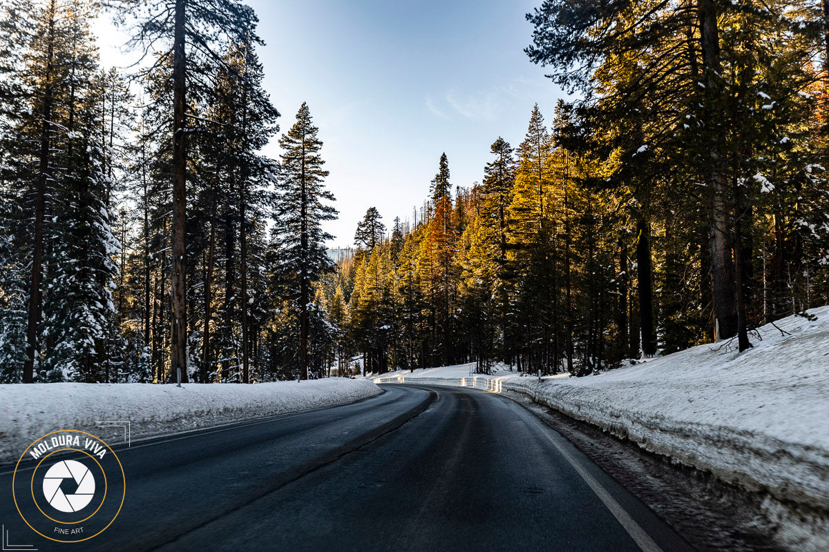 Em direção a Lake Tahoe - EUA