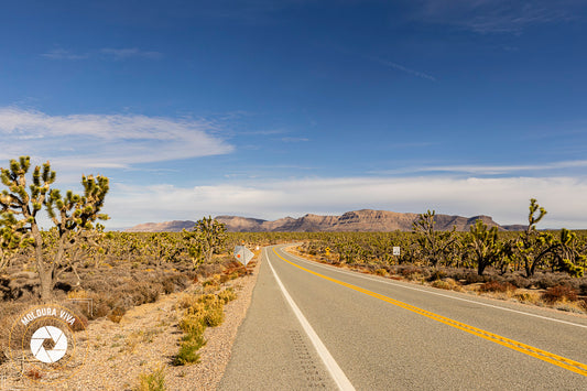 Entrando no Grand Canyon - EUA