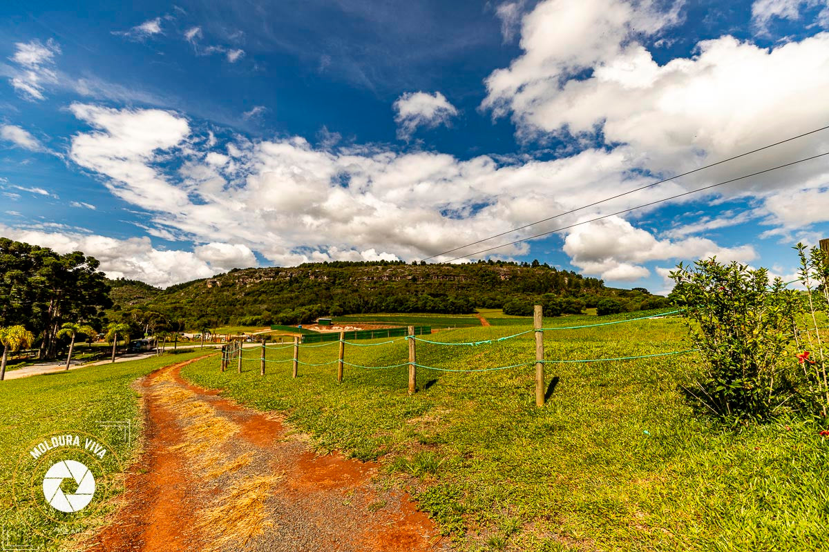 Numa trilha em Santa Catarina