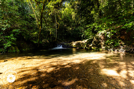 Sequência Vale das Ostras - Cachoeira 1 - SP